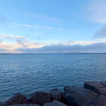 Scandinavian Apartments Reykjavík Eksteriør billede