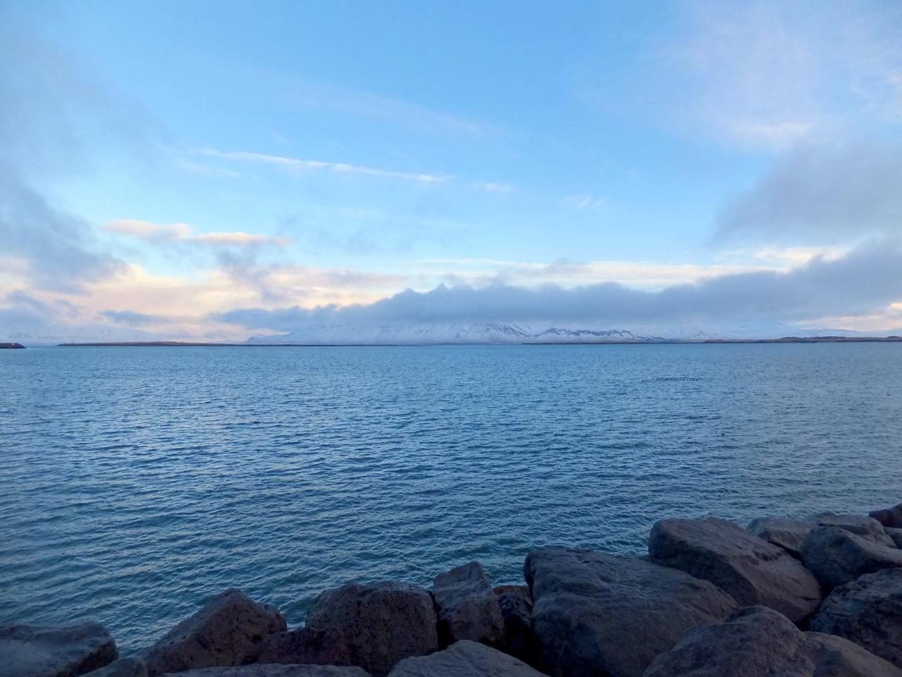 Scandinavian Apartments Reykjavík Eksteriør billede